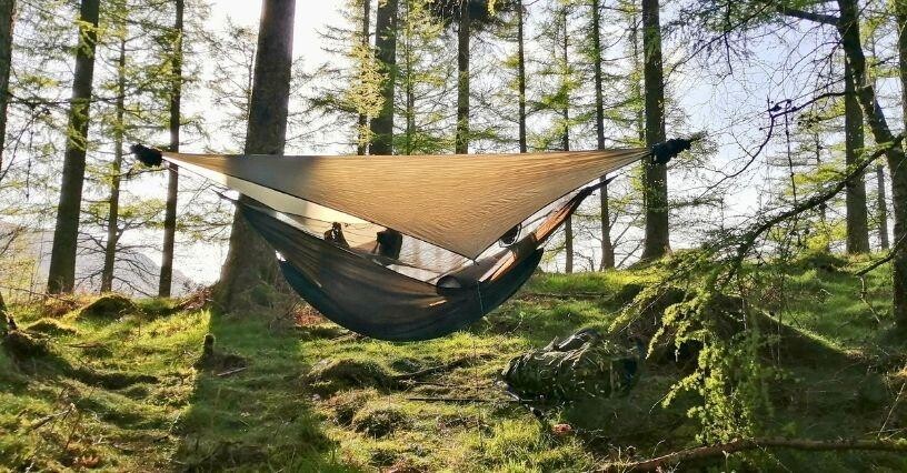 Хамак е окачен между дървета в гора