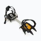 Туристически котки