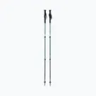 Трекинг щеки