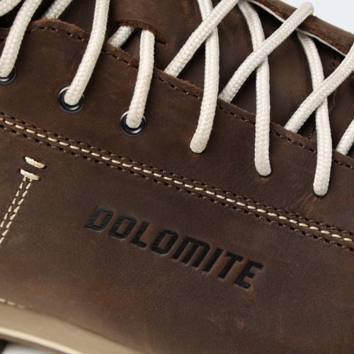 Мъжки ботуши за трекинг Dolomite 54 High Fg Gtx brown 247958 0712