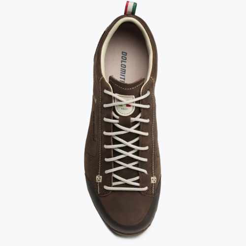 Мъжки ботуши за трекинг Dolomite 54 Low Fg Gtx brown 247959 0300