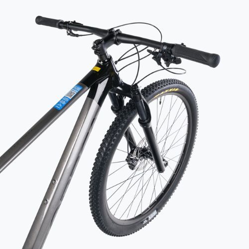 Планински велосипед Orbea Alma M50-Eagle сив M22116L4