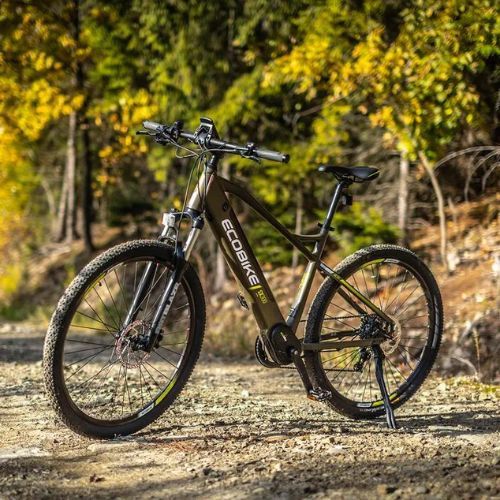 Електрически велосипед EcoBike SX300 48V 14Ah 672Wh X300 LG зелен