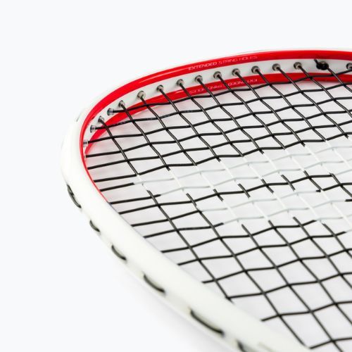 Ракета за скуош Tecnifibre Carboflex 125 Airshaft бяла 12CAR12519