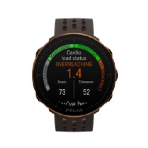 Polar Vantage M2 Brown