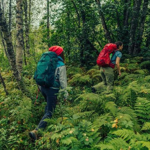 Грегъри трекинг раница Amber 34 л зелена 126867