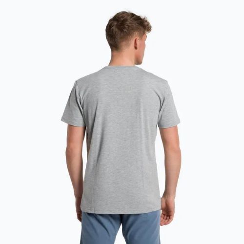 Salewa Lines Graphic Dry мъжка тениска за трекинг сива 00-0000028065