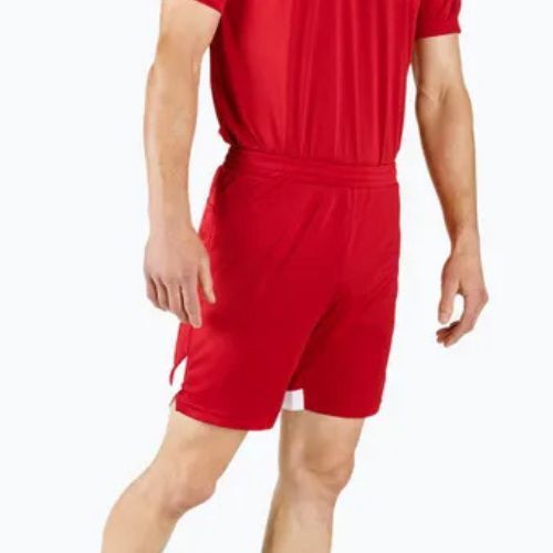 Мъжки къси панталони за тренировка Mizuno Premium Handball red X2FB9A0262