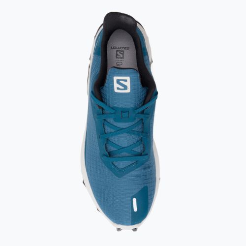 Мъжки обувки за пътеки Salomon Alphacross 3 blue L41599700