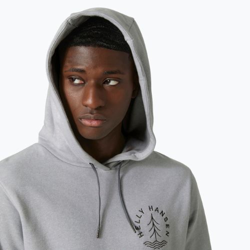 Мъжка блуза за преходи Helly Hansen F2F Organic Cotton 855 сив 62934