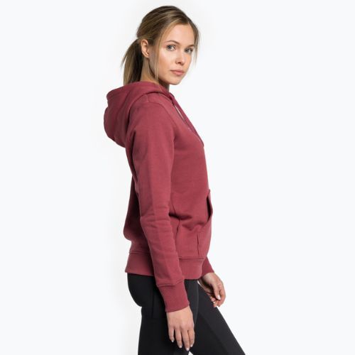 Суитшърт за трекинг за жени The North Face Drew Peak Пуловер с качулка wild ginger NF0A55EC6R41