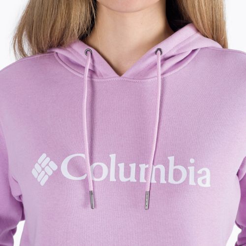 Дамски суитшърт за трекинг Columbia Logo purple 1895751