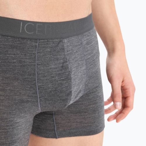 Мъжки боксерки Icebreaker Anatomica Cool-Lite 001 сиви IB1052460341