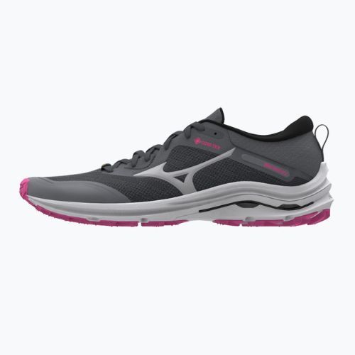 Дамски обувки за бягане Mizuno Wave Rider GTX сиви J1GD217922