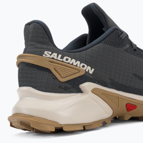 Salomon Alphacross 4 сиви мъжки обувки за пътеки L41724100
