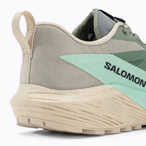 Мъжки обувки за бягане Salomon Sense Ride 5 lily/rainy day/bleached aqua