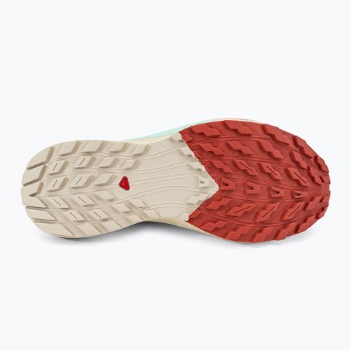 Дамски обувки за бягане Salomon Sense Ride 5 Lily Pad/Rainy Day/Bleached Aqua L47212300