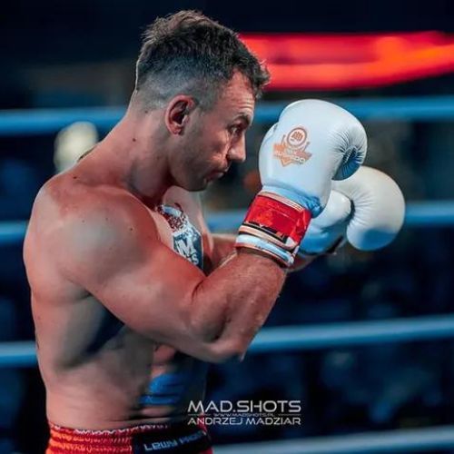 Боксови ръкавици Bushido DBD-B-2 бели