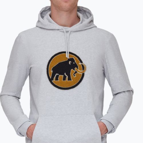 Мъжки суитшърт за трекинг Mammut ML Hoody Circle highway mélange