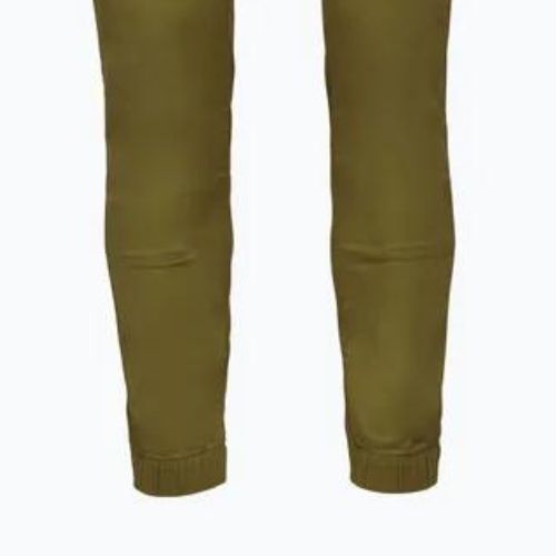Мъжки панталони за катерене Black Diamond Notion light green AP7500603039SML1