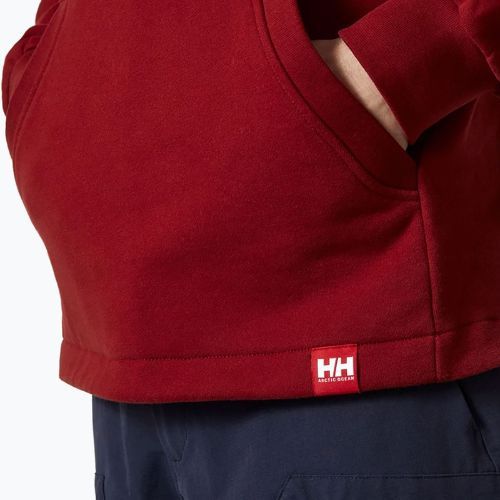 Мъжки Helly Hansen Arctic Ocean Hoodie burgundy 30361_215