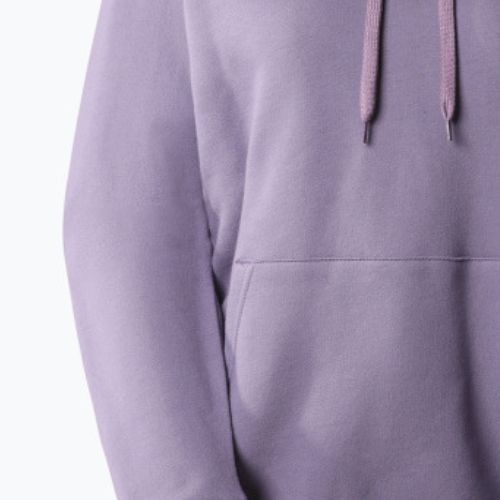 Суитшърт за трекинг за жени The North Face Outdoor Graphic Hoodie Light purple NF0A827LN141