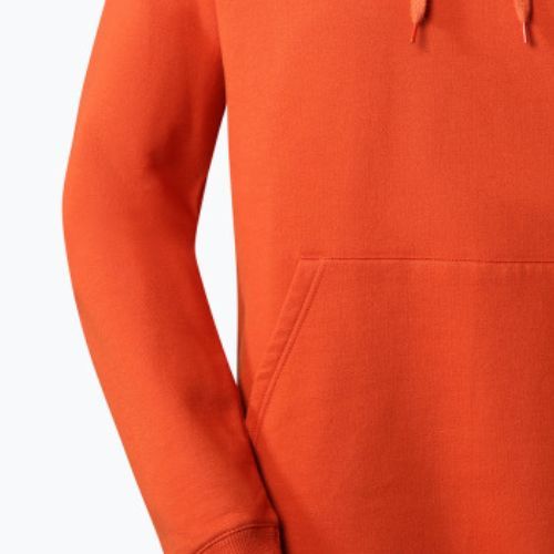 Мъжки суитшърт за трекинг The North Face Outdoor Graphic Hoodie Light orange NF0A827ILV41