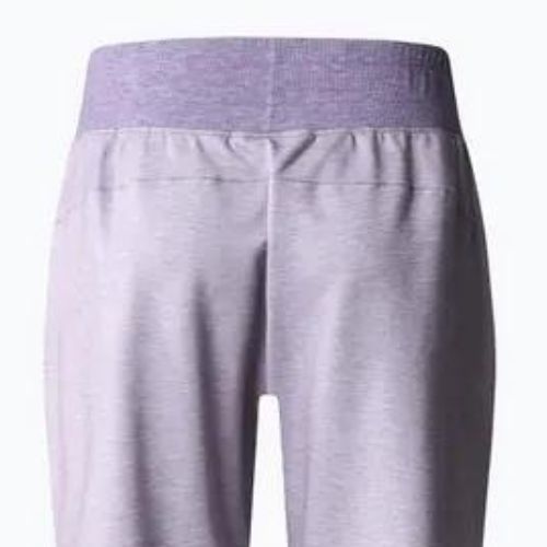 Дамски панталони за трекинг The North Face Juniper Basin Jogger lunar slate heather