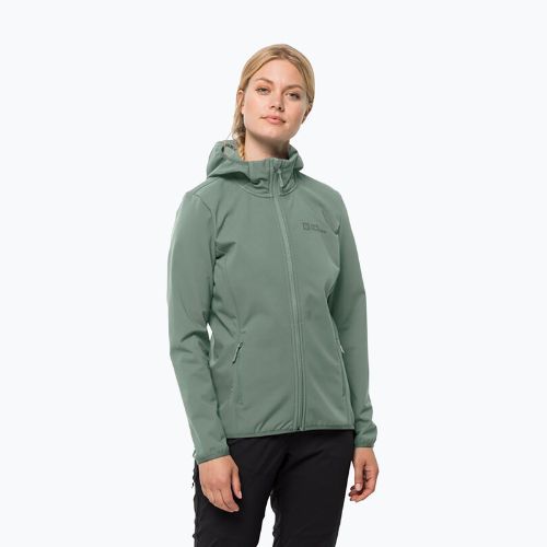 Дамско софтшел яке Jack Wolfskin Bornberg Hoody green 1307691