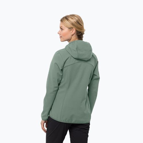 Дамско софтшел яке Jack Wolfskin Bornberg Hoody green 1307691