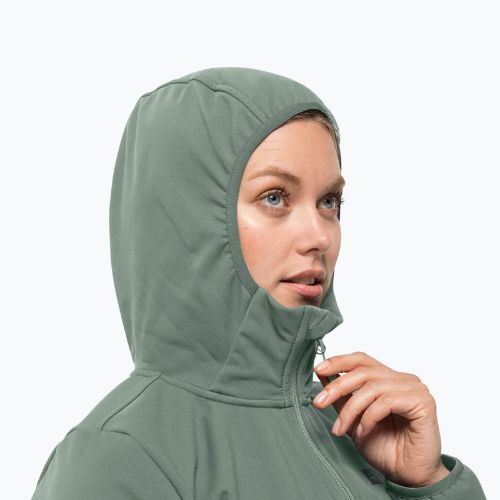 Дамско софтшел яке Jack Wolfskin Bornberg Hoody green 1307691