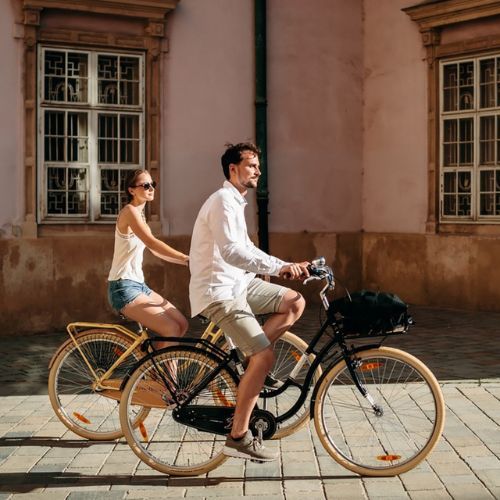 Kellys Royal Dutch 460 градски велосипед черен 72362