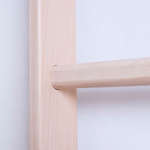 Гимнастическа стълба BenchK бронз BK-111