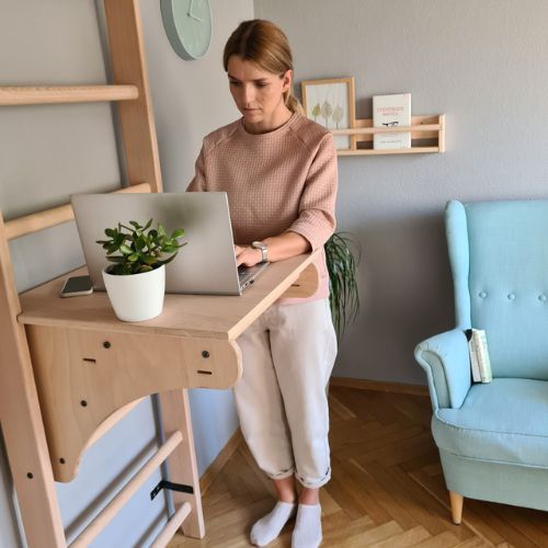 Гимнастическа стълба BenchK бронз BK-112