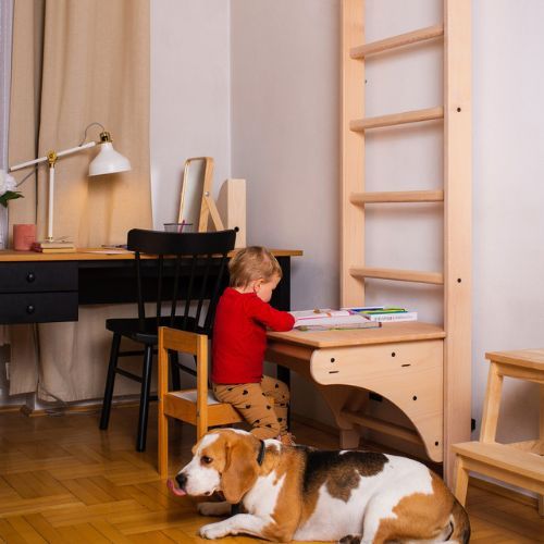 Гимнастическа стълба BenchK бронз BK-112