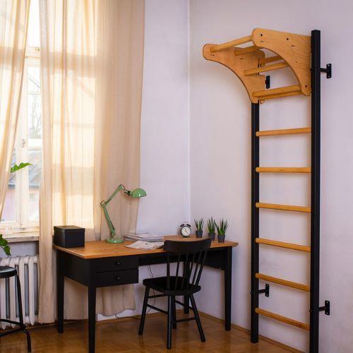 Гимнастическа стълба BenchK черна BK-211B