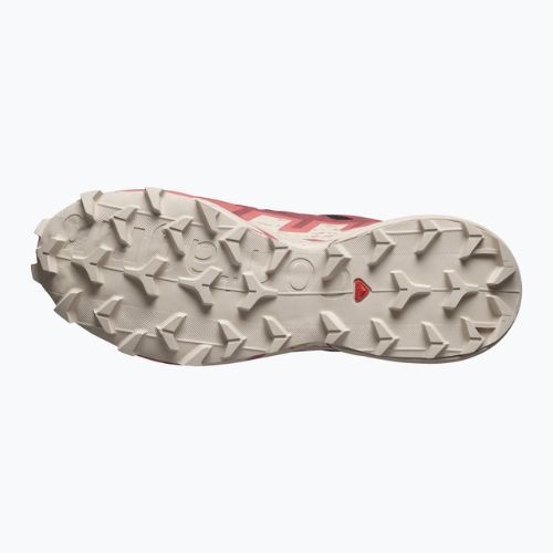 Дамски обувки за бягане Salomon Speedcross 6 GTX black/cow hide/faded rose