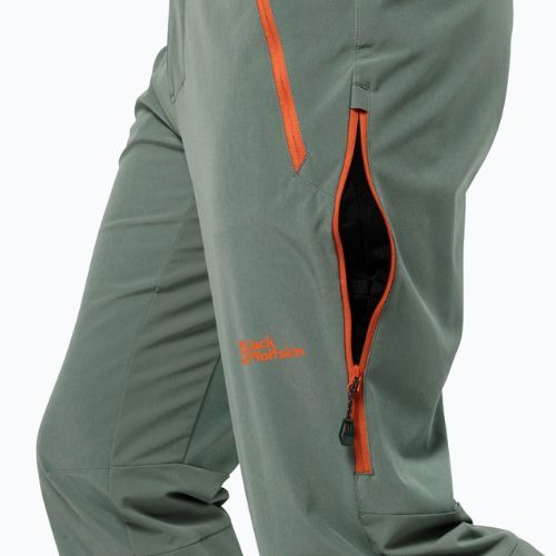 Мъжки панталони за трекинг Alpspitze Tour hedge green от Jack Wolfskin