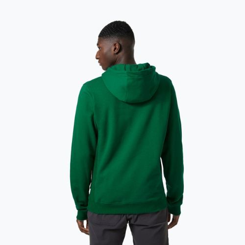 Мъжки потник за трекинг Helly Hansen F2F Organic Cotton Hoodie malachite