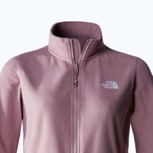 Дамски поларен суитшърт The North Face 100 Glacier Fz fawn grey