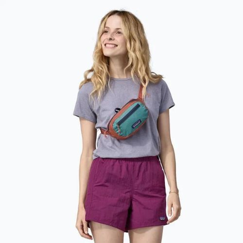 Patagonia Ultralight Black Hole Mini Hip Pack 1 l burl red kidney pouch