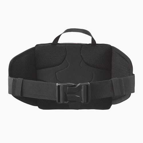 Чанта за бъбреци Salomon Trailblazer 4 l black/alloy