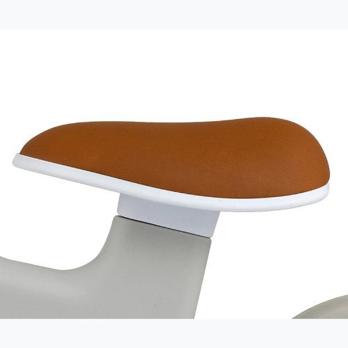 Велосипед без педали Milly Mally Velo