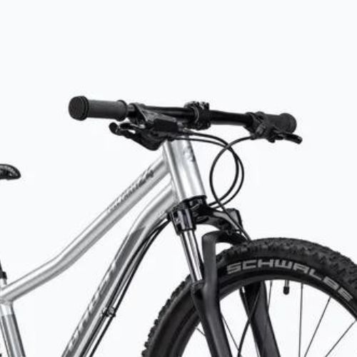 Детски велосипед GHOST Kato 24 Full Party silver chrome/dark silver chrome glossy