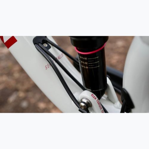 Планински велосипед Marin Rift Zone 2 29 gloss grey/red