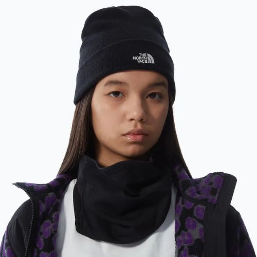 Мъжка шапка за трекинг The North Face Norm Beanie black