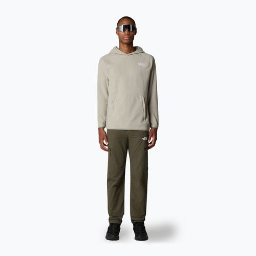 Мъжки суитшърт The North Face 100 Glacier Hoodie clay grey
