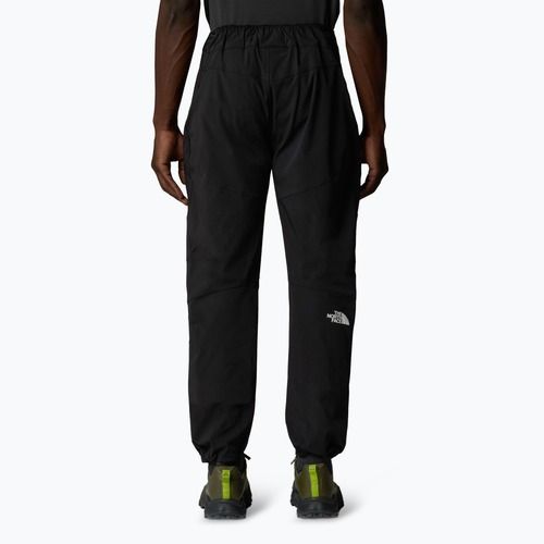 Мъжки панталони за трекинг The North Face Alpine Ridge Regular Tapered black/npf
