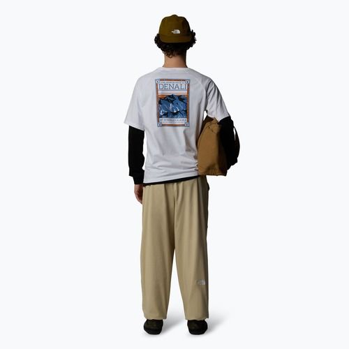 Мъжка тениска The North Face North Faces white