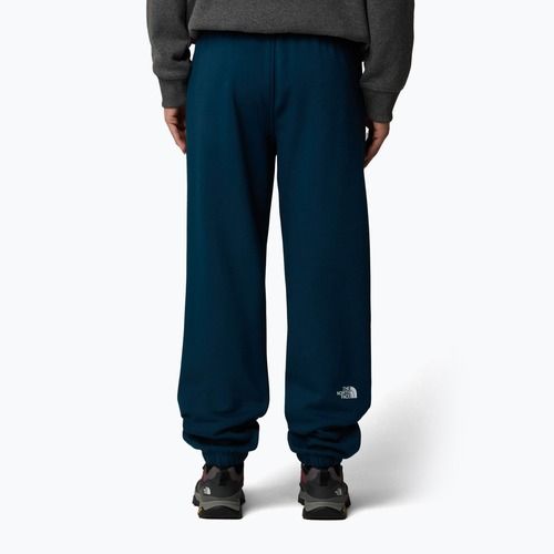 Мъжки панталони The North Face Varsity Graphic midnight petrol